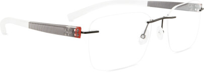Monture CLA031